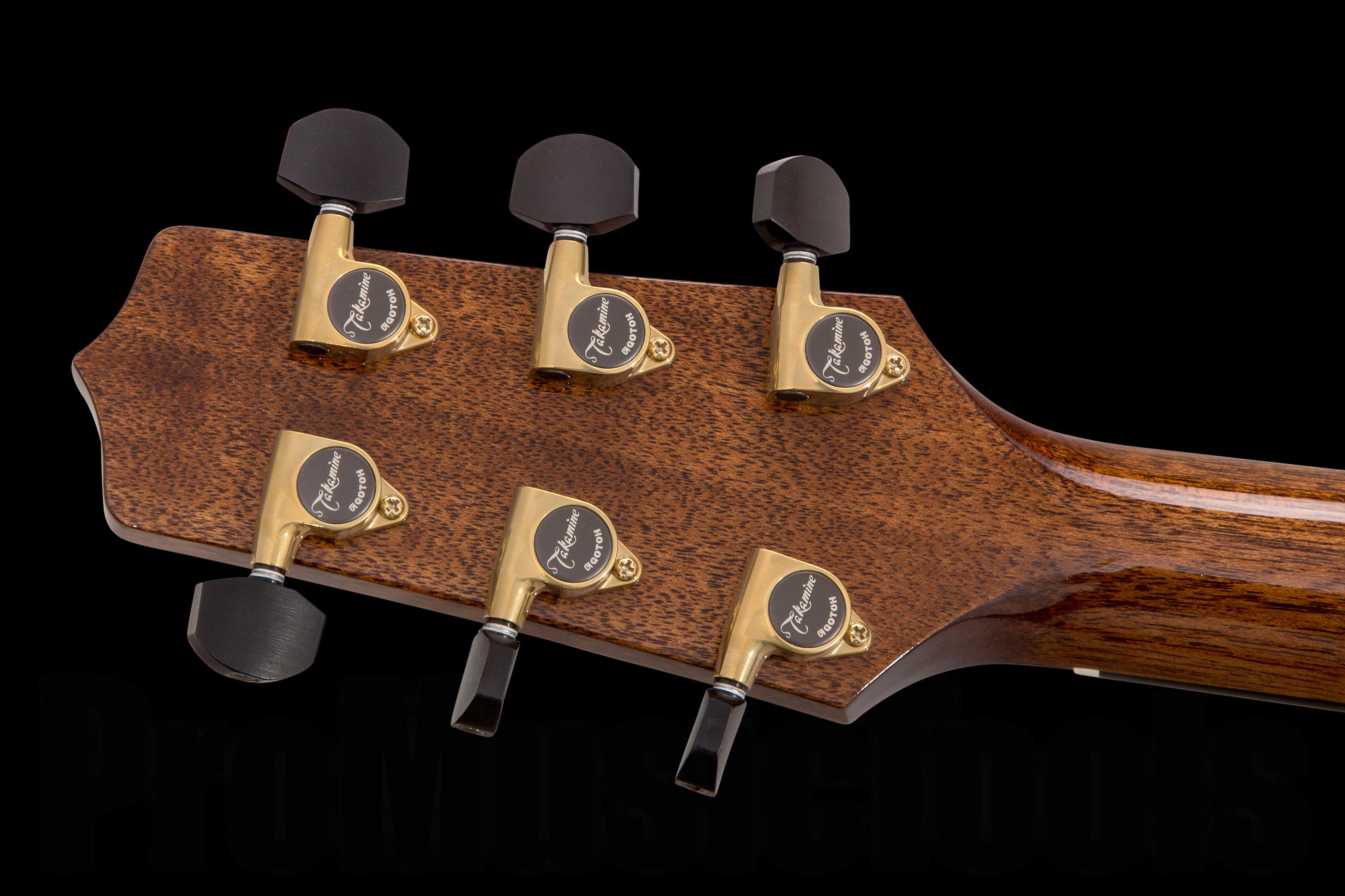Nex Instrument Takamine Mosaic Limited Edition NEX/C | ProMusicTools